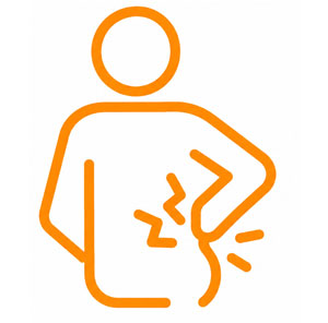Brain Icon